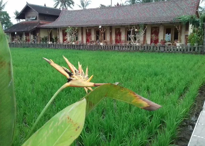 Maison d'hôtes Rice Padi Artha